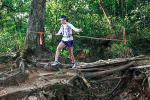 BIB: 
                            <button type="button" onclick="openModal(27555534)" class="btn btn-primary btn-sm float-right btn-popup" data-toggle="modal" data-target=".modal-high-quality">
                        <i class="fas fa-shopping-cart"></i> Add to Cart
                    </button>
                                            <button type="button" onclick="isThisMe(27555534, true)" class="btn btn-success btn-sm float-right btn-popup btn-isme hidden" data-toggle="tooltip" data-placement="bottom" title="นี่คือรูปของคุณใช่ไหม คลิกที่นี่เพื่อเอาเข้าอัลบั้ม">
                        <i class="fas fa-plus"></i> Add to album
                    </button>
                    <button type="button" onclick="isThisMe(27555534, false)" class="btn btn-warning btn-sm float-right btn-popup btn-isnotme hidden">
                        <i class="fas fa-ban"></i> Remove from album
                    </button>